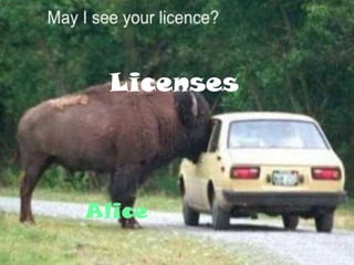 Alice Licenses 