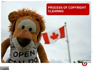 CC-BY Hester JelgerhuisCC-BY Hester Jelgerhuis
PROCESS OF COPYRIGHT
CLEARING
 