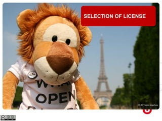 CC-BY Hester Jelgerhuis
SELECTION OF LICENSE
 