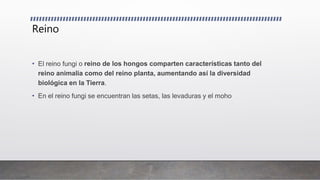 Reino
• El reino fungi o reino de los hongos comparten características tanto del
reino animalia como del reino planta, aumentando así la diversidad
biológica en la Tierra.
• En el reino fungi se encuentran las setas, las levaduras y el moho
 
