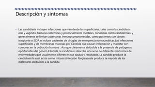 Descripción y sintomas
• Las candidiasis incluyen infecciones que van desde las superficiales, tales como la candidiasis
oral y vaginitis, hasta las sistémicas y potencialmente mortales, conocidas como candidemias, y
generalmente se limitan a personas inmunocomprometidas, como pacientes con cáncer,
trasplante o SIDA o incluso pacientes de cirugías de emergencia no traumáticas.Las infecciones
superficiales y de membranas mucosas por Cándida que causan inflamación y malestar son
comunes en la población humana . Aunque claramente atribuible a la presencia de patógenos
oportunistas del género Cándida, la candidiasis describe una serie de diferentes síndromes de
enfermedades que usualmente difieren en sus causas y resultados. La cándida produce la
candidiasis la cual actúa como micosis (infección fúngica) esta produce la mayoría de los
malestares atribuidos a la cándida
 