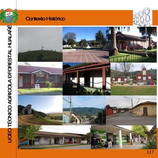 LICEO TÉCNICO AGRICOLA – FORESTAL HUALAÑÉ Contexto Histórico 117 