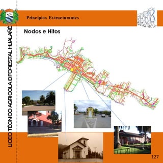 LICEO TÉCNICO AGRICOLA – FORESTAL HUALAÑÉ Principios Estructurantes Nodos e Hitos  127 