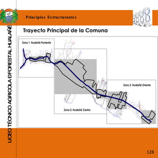 LICEO TÉCNICO AGRICOLA – FORESTAL HUALAÑÉ Principios Estructurantes Trayecto Principal de la Comuna 128 