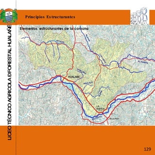 LICEO TÉCNICO AGRICOLA – FORESTAL HUALAÑÉ Principios Estructurantes 129 