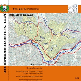 LICEO TÉCNICO AGRICOLA – FORESTAL HUALAÑÉ Principios Estructurantes Microcuencas Desarrollo agrícola  Infraestructuras de riego como el Proyecto Canal Peralillo Amenaza por la erosión del suelo Por malas prácticas agrícolas Roles de la Comuna 131 