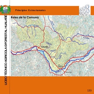 LICEO TÉCNICO AGRICOLA – FORESTAL HUALAÑÉ Principios Estructurantes Roles de la Comuna 133 