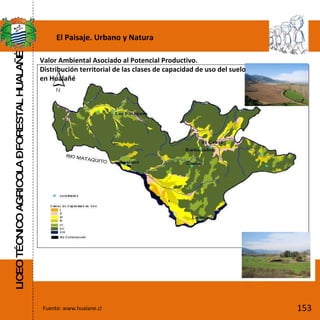 LICEO TÉCNICO AGRICOLA – FORESTAL HUALAÑÉ Fuente: www.hualane.cl El Paisaje. Urbano y Natura Valor Ambiental Asociado al Potencial Productivo. Distribución territorial de las clases de capacidad de uso del suelo en Hualañé 153 