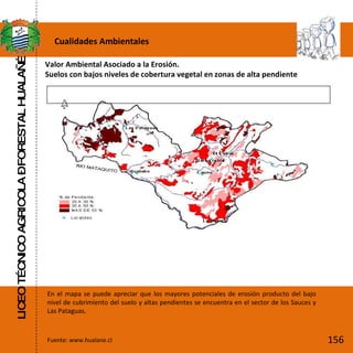 LICEO TÉCNICO AGRICOLA – FORESTAL HUALAÑÉ Fuente: www.hualane.cl Cualidades Ambientales Valor Ambiental Asociado a la Erosión. Suelos con bajos niveles de cobertura vegetal en zonas de alta pendiente  En el mapa se puede apreciar que los mayores potenciales de erosión producto del bajo nivel de cubrimiento del suelo y altas pendientes se encuentra en el sector de los Sauces y Las Pataguas.  156 