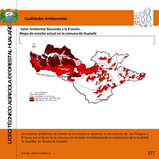 LICEO TÉCNICO AGRICOLA – FORESTAL HUALAÑÉ Fuente: www.hualane.cl Cualidades Ambientales Valor Ambiental Asociado a la Erosión. Mapa de erosión actual en la comuna de Hualañé  Los mayores problemas de erosión en la comuna se observan en los sectores de: Las Pataguas y El Sauce por el Norte de la comuna y en el sector inmediatamente al norponiente de la localidad de Hualañé, en  Rincón de Hualañé. 157 