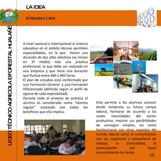 LICEO TÉCNICO AGRICOLA – FORESTAL HUALAÑÉ INTRODUCCION A nivel nacional e internacional el sistema educativo en el ámbito técnico permiten especialidades, en la que  tienen una duración de dos años electivos (se inician en 3º medio) más una práctica profesional, la que debe ser realizada en una empresa y que tiene una duración que fluctúa entre 480 a 960 horas.  El plan de estudios está conformado por una Formación General  y una Formación Diferenciada (definida según el perfil de egreso de cada especialidad).  Durante todo el proceso de práctica el alumno es considerado como “alumno regular” contando con todos los beneficios que ello implica. Esto permite a los alumnos conocer desde temprano su futuro campo laboral, formarse de acuerdo a las reales necesidades del sector productivo, mejorar sus posibilidades de conseguir empleo, así como familiarizarse con otros aspectos del mundo laboral como la comunicación con sus superiores y compañeros de trabajo, la puntualidad, la preocupación por hacer correctamente las tareas  15 LA IDEA 