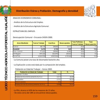 LICEO TÉCNICO AGRICOLA – FORESTAL HUALAÑÉ Distribución Etárea y Población. Demografía y densidad ESTRUCTURA DEL EMPLEO. Desocupación Comunal – Encuesta CASEN 2000. ANALISIS ECONOMICO COMUNAL: - Análisis de la Estructura de Empleo. - Análisis de la Estructura Agrícola Comunal. Población en Edad de Trabajar – Censo 2002. - La Comuna posee una tasa de desempleo bastante alta. - La Explicación a esto está dada por la composición del empleo. La PEA, alcanza al 45% de los mayores de 15 años. De estos cerca del 18% se encuentran desocupados. 159 