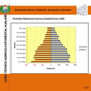 LICEO TÉCNICO AGRICOLA – FORESTAL HUALAÑÉ Distribución Etárea y Población. Demografía y densidad Pirámide Poblacional Comuna Hualañé Censo 1992. 167 