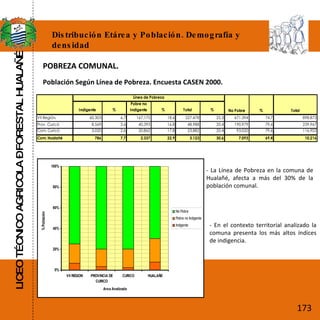 LICEO TÉCNICO AGRICOLA – FORESTAL HUALAÑÉ Distribución Etárea y Población. Demografía y densidad POBREZA COMUNAL. Población Según Línea de Pobreza. Encuesta CASEN 2000. - La Línea de Pobreza en la comuna de Hualañé, afecta a más del 30% de la población comunal. - En el contexto territorial analizado la comuna presenta los más altos índices de indigencia.  173 