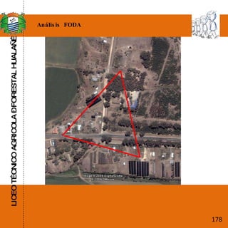 LICEO TÉCNICO AGRICOLA – FORESTAL HUALAÑÉ Análisis  FODA 178 