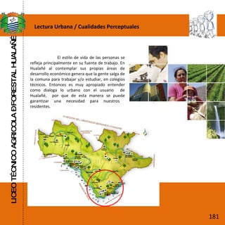 LICEO TÉCNICO AGRICOLA – FORESTAL HUALAÑÉ Lectura Urbana / Cualidades Perceptuales  El estilo de vida de las personas se refleja principalmente en su fuente de trabajo. En Hualañé al contemplar sus propias áreas de desarrollo económico genera que la gente salga de la comuna para trabajar y/o estudiar, en colegios técnicos. Entonces es muy apropiado entender como dialoga lo urbano con el usuario  de Hualañé,  por que de esta manera se puede garantizar una necesidad para nuestros  residentes. 181 
