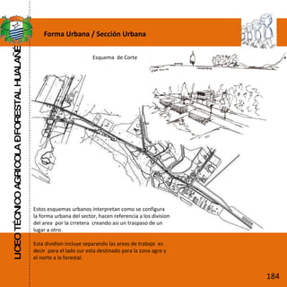 LICEO TÉCNICO AGRICOLA – FORESTAL HUALAÑÉ Forma Urbana / Sección Urbana Esquema  de Corte  Estos esquemas urbanos interpretan como se configura la forma urbana del sector, hacen referencia a los division del area  por la crretera  creando asi un traspaso de un lugar a otro. Esta dividion incluye separando las areas de trabajo  es decir  para el lado sur esta destinado para la zona agro y el norte a la forestal. 184 
