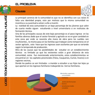 LICEO TÉCNICO AGRICOLA – FORESTAL HUALAÑÉ Causas  La principal carencia de la comunidad es que no se identifica con sus raíces le falta una identidad propia, esto por motivos que la misma comunidad no incentiva a su juventud a volver a ella a invertir. La  realidad de esta comunidad es un bajo porcentaje de los jóvenes que salen de cuarto medio siguen  estudiando a nivel universitario o en institutos de formación técnica. Una de las principales causas de este bajo porcentaje es el poco ingreso  en las familias obreras dado que el sector forestal y agrícola se ve en gran cantidad en esta zona por ende se necesita alta mano de obra pero los sueldos son insuficientes , lo mismo pasa en las familias que trabajan como temporeros en el sector agrícola , esto  hace que los ingresos sean oscilantes por que va variando según la temporada de producción. Otra de las causas que las posibilidades de  estudiar en un establecimiento técnico  es limitado ya que los existentes están a gran distancia de esta comunidad, como  fue mencionado anteriormente, estos establecimientos se encuentran en  las capitales provinciales (Talca, Cauquenes, Curicó, linares) o en regiones vecinas, Donde los padres se ven limitados  a mandar a estudiar a sus hijos tan lejos ya que aportan en los ingresos familiares trabajando las  tierras familiares. 32 EL PROBLEMA 