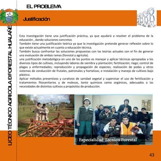 LICEO TÉCNICO AGRICOLA – FORESTAL HUALAÑÉ Justificación  Esta investigación tiene una justificación práctica, ya que ayudará a resolver el problema de la educación , dando soluciones concretas También tiene una justificación teórica ya que la investigación pretende generar reflexión sobre lo que existe actualmente en cuanto a educación técnica. También busca confrontar las soluciones propuestas con las teorías actuales con el fin de generar una evaluación de ambas ramas (forestal y agrícola). una justificación metodológica en uno de los puntos es  manejar y aplicar técnicas apropiadas a los diversos tipos de cultivos, incluyendo labores de siembra y plantación; fertilización; riego; control de plagas y enfermedades; reproducción y propagación de especies; realización de podas y otros sistemas de conducción de frutales, patronales y hortalizas; e instalación y manejo de cultivos bajo plástico. Aplicar métodos preventivos y curativos de sanidad vegetal y supervisar el uso de fertilización y tratamientos fitosanitarios y de malezas, tanto químicos como orgánicos, adecuados a las necesidades de distintos cultivos y propósitos de producción. 43 EL PROBLEMA 