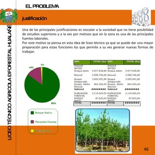 LICEO TÉCNICO AGRICOLA – FORESTAL HUALAÑÉ justificación  Una de las principales justificaciones es rescatar a la sociedad que no tiene posibilidad de estudios superiores y a la ves por motivos que en la zona es una de las principales fuentes laborales. Por este motivo se piensa en esta idea de liceo técnico ya que se puede dar una mayor preparación para estas funciones los que permite a su ves generar nuevas formas de trabajar. 46 EL PROBLEMA 