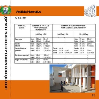LICEO TÉCNICO AGRICOLA – FORESTAL HUALAÑÉ Análisis Normativo % PATIOS 81 