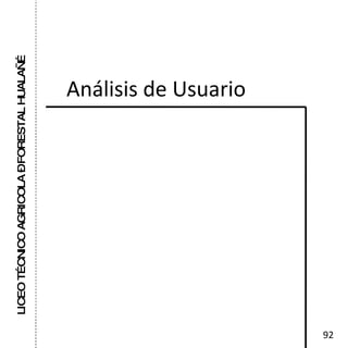 LICEO TÉCNICO AGRICOLA – FORESTAL HUALAÑÉ Análisis de Usuario 92 
