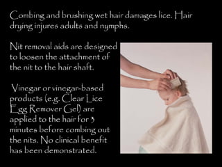 Combing and brushing wet hair damages lice. Hair
drying injures adults and nymphs.
Nit removal aids are designed
to loosen the attachment of
the nit to the hair shaft.
Vinegar or vinegar-based
products (e.g. Clear Lice
Egg Remover Gel) are
applied to the hair for 3
minutes before combing out
the nits. No clinical benefit
has been demonstrated.
 