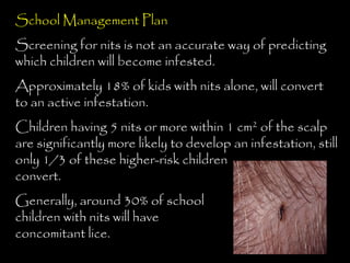 School Management Plan
Screening for nits is not an accurate way of predicting
which children will become infested.
Approximately 18% of kids with nits alone, will convert
to an active infestation.
Children having 5 nits or more within 1 cm2 of the scalp
are significantly more likely to develop an infestation, still
only 1/3 of these higher-risk children
convert.
Generally, around 30% of school
children with nits will have
concomitant lice.
 