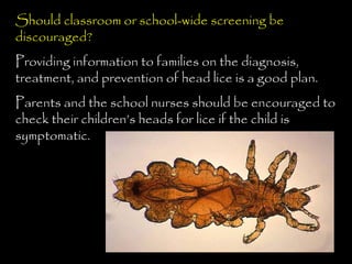 Should classroom or school-wide screening be
discouraged?
Providing information to families on the diagnosis,
treatment, and prevention of head lice is a good plan.
Parents and the school nurses should be encouraged to
check their children’s heads for lice if the child is
symptomatic.
 