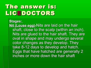 The answer is:The answer is:
LICLICEEDOCTORSDOCTORS
Stages:Stages:
Nit (Louse egg)-Nit (Louse egg)-Nits are laid on the hairNits are laid on the hair
shaft, close to the scalp (within an inch).shaft, close to the scalp (within an inch).
Nits are glued to the hair shaft. They areNits are glued to the hair shaft. They are
oval in shape and may undergo severaloval in shape and may undergo several
color changes as they develop. Theycolor changes as they develop. They
take 8-12 days to develop and hatch.take 8-12 days to develop and hatch.
Eggs that have hatched are generally 2Eggs that have hatched are generally 2
inches or more down the hair shaftinches or more down the hair shaft
 