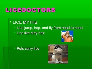 LICEDOCTORSLICEDOCTORS
 LICE MYTHSLICE MYTHS
 Lice jump, hop, and fly from head to headLice jump, hop, and fly from head to head
 Lice like dirty hairLice like dirty hair
 Pets carry licePets carry lice
 