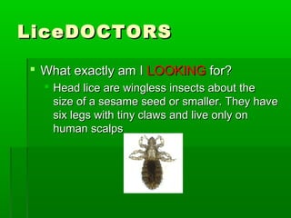 LiceDOCTORSLiceDOCTORS
 What exactly am IWhat exactly am I LOOKINGLOOKING for?for?
 Head lice are wingless insects about theHead lice are wingless insects about the
size of a sesame seed or smaller. They havesize of a sesame seed or smaller. They have
six legs with tiny claws and live only onsix legs with tiny claws and live only on
human scalpshuman scalps
 