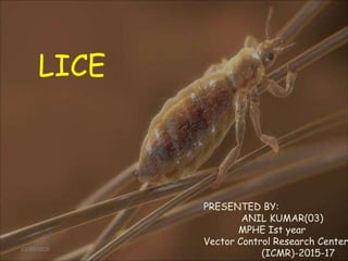 LICE
PRESENTED BY:
ANIL KUMAR(03)
MPHE Ist year
Vector Control Research Center
(ICMR)-2015-17
12/30/2015
 