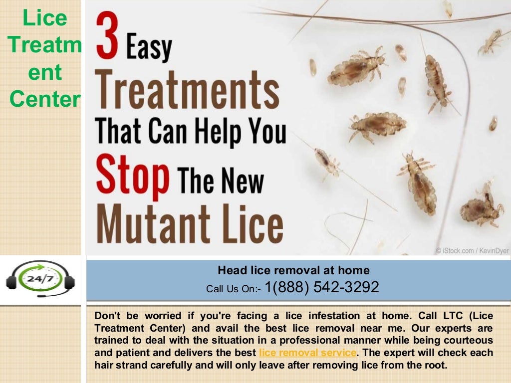 Lice Removal Service by Certified Lice treatment center Technicians
