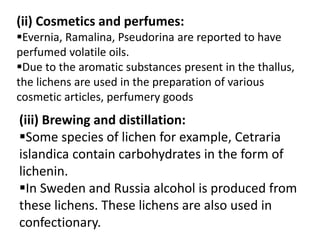 (ii) Cosmetics and perfumes:
Evernia, Ramalina, Pseudorina are reported to have
perfumed volatile oils.
Due to the aromatic substances present in the thallus,
the lichens are used in the preparation of various
cosmetic articles, perfumery goods
(iii) Brewing and distillation:
Some species of lichen for example, Cetraria
islandica contain carbohydrates in the form of
lichenin.
In Sweden and Russia alcohol is produced from
these lichens. These lichens are also used in
confectionary.
 