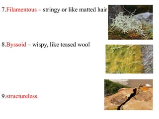 7.Filamentous – stringy or like matted hair
8.Byssoid – wispy, like teased wool
9.structureless.
 