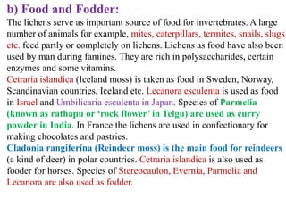 b) Food and Fodder:
The lichens serve as important source of food for invertebrates. A large
number of animals for example, mites, caterpillars, termites, snails, slugs
etc. feed partly or completely on lichens. Lichens as food have also been
used by man during famines. They are rich in polysaccharides, certain
enzymes and some vitamins.
Cetraria islandica (Iceland moss) is taken as food in Sweden, Norway,
Scandinavian countries, Iceland etc. Lecanora esculenta is used as food
in Israel and Umbilicaria esculenta in Japan. Species of Parmelia
(known as rathapu or ‘rock flower’ in Telgu) are used as curry
powder in India. In France the lichens are used in confectionary for
making chocolates and pastries.
Cladonia rangiferina (Reindeer moss) is the main food for reindeers
(a kind of deer) in polar countries. Cetraria islandica is also used as
fooder for horses. Species of Stereocaulon, Evernia, Parmelia and
Lecanora are also used as fodder.
 