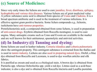 (c) Source of Medicines:
Since very early times the lichens are used to cure jaundice, fever, diarrhoea, epilepsy,
hydrophobia and various skin diseases. Various lichens are of great medicinal value
A yellow substance usnic acid is obtained from species of Usnea and Cladonia. It is a
broad spectrum antibiotic and is used in the treatment of various infections. It is
effective against gram positive bacteria. Some lichen compounds e.g., lichenin,
isolichenin have anti-tumour properties.
Protolichesterinic acid, a compound obtained from some lichens, is used in preparation
of anti-cancer drugs. Erythrin obtained from Roccella montagnei, is used to cure
angina. Many antiseptic creams such as Usno and Evosin are available in the market
and are well known for their antitumour, spasmolytic and antiviral activities.
(d) In Industry:(i) Tanning and dyeing:
Some lichens are used in leather industry. Cetraria islandica and Lobaria pulmortaria
show the astringent property. This astringent substance is extracted from the thallus and
is used in tannin industry. Lichens are also used in preparing natural dyes. Orchil, a blue
dye obtained from Roccella and Leconara, is used to dye woollen articles and silk
fabrics.
It is purified as orcum and used as a a biological stain. A brown dye is obtained from
Parmelia spp. whereas Ochrolechia spp. yield a red dye. Litmus used as a acid-base
indicator, is also a dye and is obtained from Roccella tinctoria and Lasallia pustulata.
 