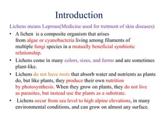 Introduction
Lichens means Leprous(Medicine used for tretment of skin diseases)
• A lichen is a composite organism that arises
from algae or cyanobacteria living among filaments of
multiple fungi species in a mutually beneficial symbiotic
relationship.
• Lichens come in many colors, sizes, and forms and are sometimes
plant-like.
• Lichens do not have roots that absorb water and nutrients as plants
do, but like plants, they produce their own nutrition
by photosynthesis. When they grow on plants, they do not live
as parasites, but instead use the plants as a substrate.
• Lichens occur from sea level to high alpine elevations, in many
environmental conditions, and can grow on almost any surface.
 