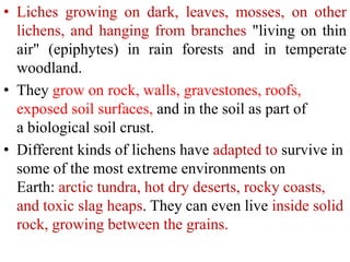 • Liches growing on dark, leaves, mosses, on other
lichens, and hanging from branches "living on thin
air" (epiphytes) in rain forests and in temperate
woodland.
• They grow on rock, walls, gravestones, roofs,
exposed soil surfaces, and in the soil as part of
a biological soil crust.
• Different kinds of lichens have adapted to survive in
some of the most extreme environments on
Earth: arctic tundra, hot dry deserts, rocky coasts,
and toxic slag heaps. They can even live inside solid
rock, growing between the grains.
 