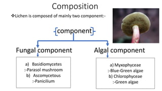 Composition
Lichen is composed of mainly two component:-
component
Fungal component Algal component
a) Basidiomycetes
:-Parasol mushroom
b) Ascomycetous
:-Panicilium
a) Myxophyceae
:-Blue-Green algae
b) Chlorophyceae
:-Green algae
 