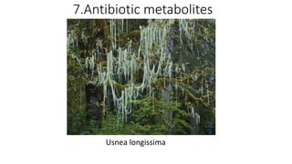7.Antibiotic metabolites
Usnea longissima
This
Pho
to
by
Unk
now
n
Aut
hor
is
lice
nse
d
und
er
CC
BY-
NC-
ND
 