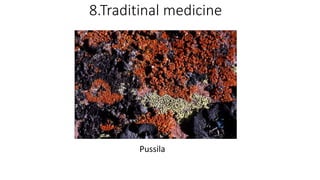 8.Traditinal medicine
Pussila
This
Phot
o
by
Unkn
own
Auth
or
is
licens
ed
unde
r
CC
BY-
SA-
NC
 