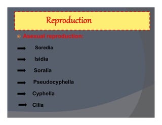  Asexual reproduction:
Soredia
Isidia
Soralia
Pseudocyphella
Cyphella
Cilia
 