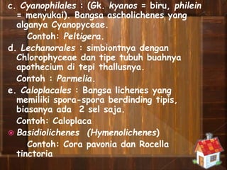 c. Cyanophilales : (Gk. kyanos = biru, philein
= menyukai). Bangsa ascholichenes yang
alganya Cyanopyceae.
Contoh: Peltigera.
d. Lechanorales : simbiontnya dengan
Chlorophyceae dan tipe tubuh buahnya
apothecium di tepi thallusnya.
Contoh : Parmelia.
e. Caloplacales : Bangsa lichenes yang
memiliki spora-spora berdinding tipis,
biasanya ada 2 sel saja.
Contoh: Caloplaca
 Basidiolichenes (Hymenolichenes)
Contoh: Cora pavonia dan Rocella
tinctoria
 