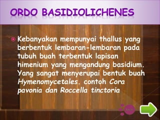  Kebanyakan mempunyai thallus yang
berbentuk lembaran-lembaran pada
tubuh buah terbentuk lapisan
himenium yang mengandung basidium.
Yang sangat menyerupai bentuk buah
Hymenomycetales. contoh Cora
pavonia dan Roccella tinctoria
 