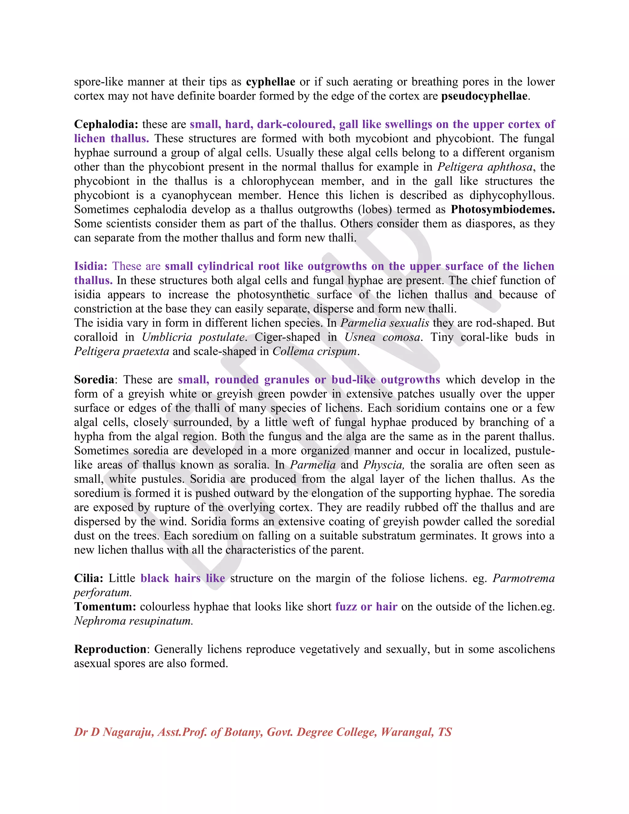 Dr D Nagaraju, Asst.Prof. of Botany, Govt. Degree College, Warangal, TS
spore-like manner at their tips as cyphellae or if such aerating or breathing pores in the lower
cortex may not have definite boarder formed by the edge of the cortex are pseudocyphellae.
Cephalodia: these are small, hard, dark-coloured, gall like swellings on the upper cortex of
lichen thallus. These structures are formed with both mycobiont and phycobiont. The fungal
hyphae surround a group of algal cells. Usually these algal cells belong to a different organism
other than the phycobiont present in the normal thallus for example in Peltigera aphthosa, the
phycobiont in the thallus is a chlorophycean member, and in the gall like structures the
phycobiont is a cyanophycean member. Hence this lichen is described as diphycophyllous.
Sometimes cephalodia develop as a thallus outgrowths (lobes) termed as Photosymbiodemes.
Some scientists consider them as part of the thallus. Others consider them as diaspores, as they
can separate from the mother thallus and form new thalli.
Isidia: These are small cylindrical root like outgrowths on the upper surface of the lichen
thallus. In these structures both algal cells and fungal hyphae are present. The chief function of
isidia appears to increase the photosynthetic surface of the lichen thallus and because of
constriction at the base they can easily separate, disperse and form new thalli.
The isidia vary in form in different lichen species. In Parmelia sexualis they are rod-shaped. But
coralloid in Umblicria postulate. Ciger-shaped in Usnea comosa. Tiny coral-like buds in
Peltigera praetexta and scale-shaped in Collema crispum.
Soredia: These are small, rounded granules or bud-like outgrowths which develop in the
form of a greyish white or greyish green powder in extensive patches usually over the upper
surface or edges of the thalli of many species of lichens. Each soridium contains one or a few
algal cells, closely surrounded, by a little weft of fungal hyphae produced by branching of a
hypha from the algal region. Both the fungus and the alga are the same as in the parent thallus.
Sometimes soredia are developed in a more organized manner and occur in localized, pustule-
like areas of thallus known as soralia. In Parmelia and Physcia, the soralia are often seen as
small, white pustules. Soridia are produced from the algal layer of the lichen thallus. As the
soredium is formed it is pushed outward by the elongation of the supporting hyphae. The soredia
are exposed by rupture of the overlying cortex. They are readily rubbed off the thallus and are
dispersed by the wind. Soridia forms an extensive coating of greyish powder called the soredial
dust on the trees. Each soredium on falling on a suitable substratum germinates. It grows into a
new lichen thallus with all the characteristics of the parent.
Cilia: Little black hairs like structure on the margin of the foliose lichens. eg. Parmotrema
perforatum.
Tomentum: colourless hyphae that looks like short fuzz or hair on the outside of the lichen.eg.
Nephroma resupinatum.
Reproduction: Generally lichens reproduce vegetatively and sexually, but in some ascolichens
asexual spores are also formed.
 