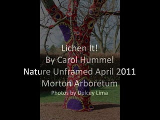 Lichen It! By Carol Hummel  Nature Unframed April 2011Morton ArboretumPhotos by Dulcey Lima 