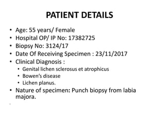 PATIENT DETAILS
• Age: 55 years/ Female
• Hospital OP/ IP No: 17382725
• Biopsy No: 3124/17
• Date Of Receiving Specimen : 23/11/2017
• Clinical Diagnosis :
• Genital lichen sclerosus et atrophicus
• Bowen’s disease
• Lichen planus.
• Nature of specimen: Punch biopsy from labia
majora.
.
 