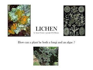 LICHEN
            by Annie Cloutier copyright 2012 Botany




How can a plant be both a fungi and an algae ?
 